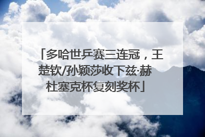 多哈世乒赛三连冠，王楚钦/孙颖莎收下兹·赫杜塞克杯复刻奖杯
