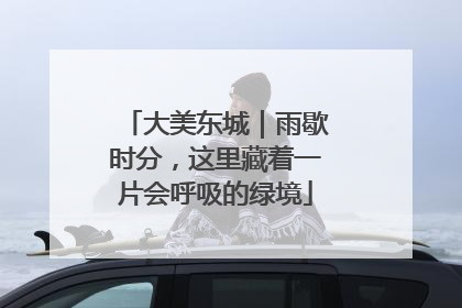 大美东城｜雨歇时分，这里藏着一片会呼吸的绿境