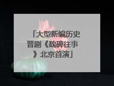 大型新编历史晋剧《魏碑往事》北京首演