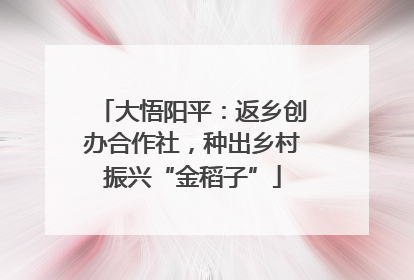 大悟阳平：返乡创办合作社，种出乡村振兴“金稻子”