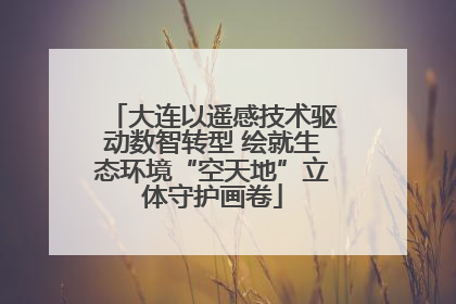 大连以遥感技术驱动数智转型 绘就生态环境“空天地”立体守护画卷