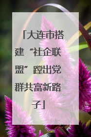 大连市搭建“社企联盟”蹚出党群共富新路子