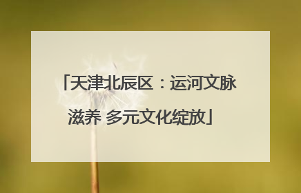 天津北辰区：运河文脉滋养 多元文化绽放