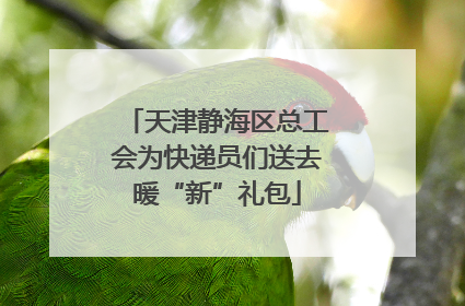 天津静海区总工会为快递员们送去暖“新”礼包