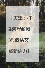 天津：打造海岸新风光 激活文旅新活力