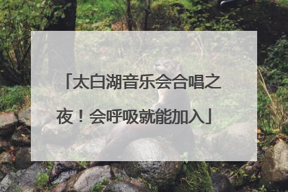 太白湖音乐会合唱之夜！会呼吸就能加入