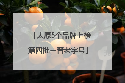 太原5个品牌上榜第四批三晋老字号