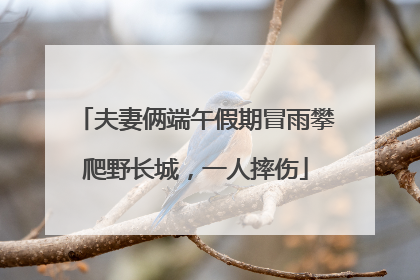 夫妻俩端午假期冒雨攀爬野长城，一人摔伤