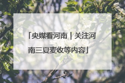 央媒看河南｜关注河南三夏麦收等内容