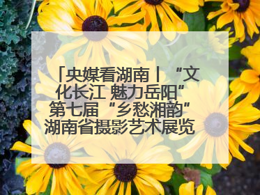 央媒看湖南丨“文化长江 魅力岳阳”第七届“乡愁湘韵”湖南省摄影艺术展览盛大启幕