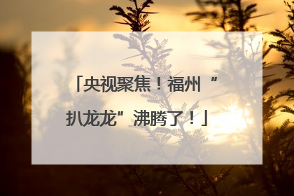 央视聚焦！福州“扒龙龙”沸腾了！