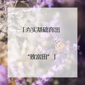 夯实基础育出“致富田”