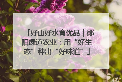 好山好水育优品｜郧阳绿道农业：用“好生态”种出“好味道”