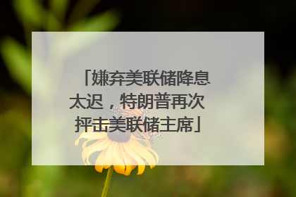 嫌弃美联储降息太迟，特朗普再次抨击美联储主席