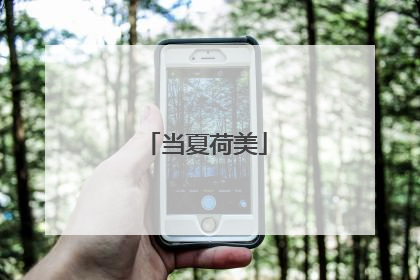 当夏荷美