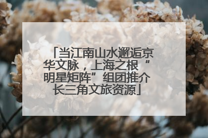 当江南山水邂逅京华文脉，上海之根“明星矩阵”组团推介长三角文旅资源