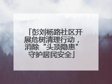 彭刘杨路社区开展危树清理行动，消除“头顶隐患”守护居民安全
