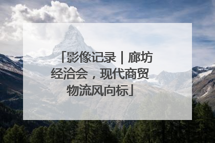 影像记录｜廊坊经洽会，现代商贸物流风向标