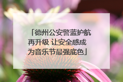 德州公安警蓝护航再升级 让安全感成为音乐节最强底色