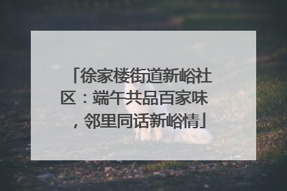 徐家楼街道新峪社区：端午共品百家味，邻里同话新峪情