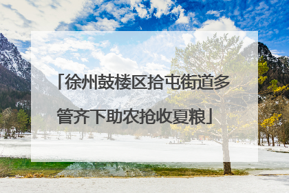 徐州鼓楼区拾屯街道多管齐下助农抢收夏粮