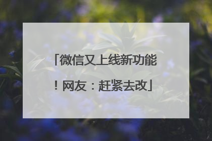 微信又上线新功能！网友：赶紧去改