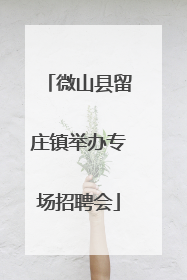微山县留庄镇举办专场招聘会