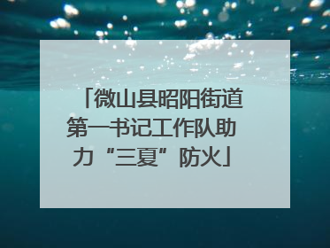 微山县昭阳街道第一书记工作队助力“三夏”防火