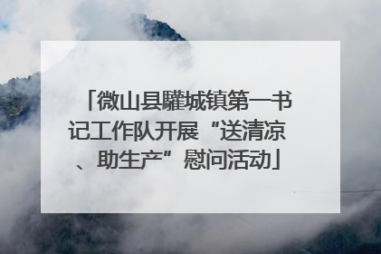 微山县驩城镇第一书记工作队开展“送清凉、助生产”慰问活动