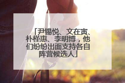尹锡悦、文在寅、朴槿惠、李明博，他们纷纷出面支持各自阵营候选人