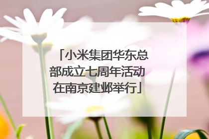 小米集团华东总部成立七周年活动在南京建邺举行