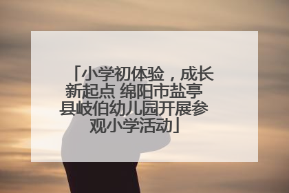 小学初体验，成长新起点 绵阳市盐亭县岐伯幼儿园开展参观小学活动
