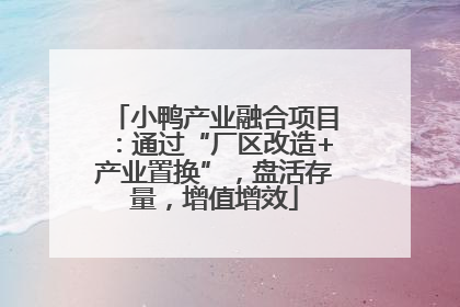 小鸭产业融合项目：通过“厂区改造+产业置换”，盘活存量，增值增效