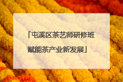 屯溪区茶艺师研修班赋能茶产业新发展