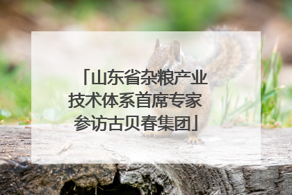 山东省杂粮产业技术体系首席专家参访古贝春集团