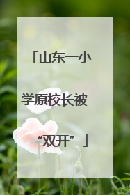山东一小学原校长被“双开”