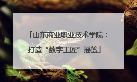 山东商业职业技术学院：打造“数字工匠”摇篮