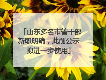 山东多名市管干部新职明确，此前公示拟进一步使用