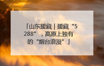 山东援藏｜援藏“5288”，高原上独有的“烟台浪漫”