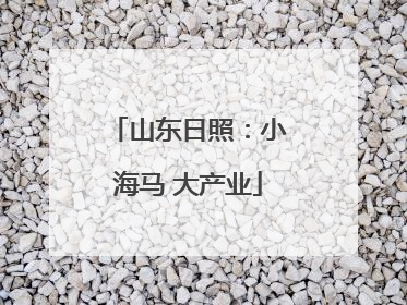 山东日照：小海马 大产业