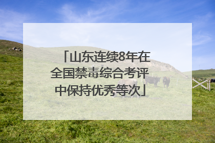 山东连续8年在全国禁毒综合考评中保持优秀等次