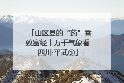 山区县的“药”香致富经丨万千气象看四川·平武③