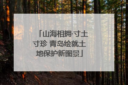 山海相拥·寸土寸珍 青岛绘就土地保护新图景