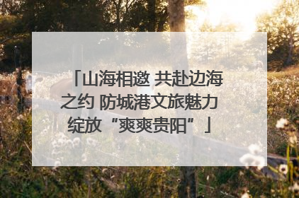 山海相邀 共赴边海之约 防城港文旅魅力绽放“爽爽贵阳”