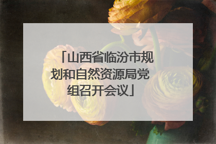 山西省临汾市规划和自然资源局党组召开会议