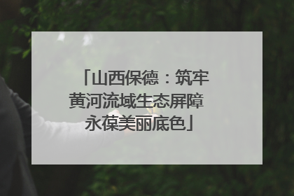 山西保德：筑牢黄河流域生态屏障 永葆美丽底色