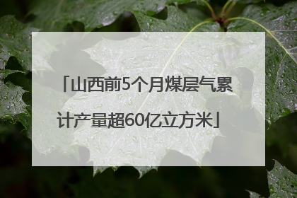 山西前5个月煤层气累计产量超60亿立方米