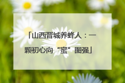 山西晋城养蜂人：一颗初心向“蜜”图强