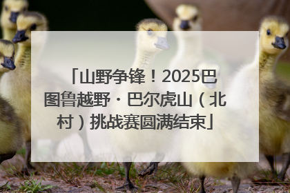 山野争锋！2025巴图鲁越野・巴尔虎山（北村）挑战赛圆满结束
