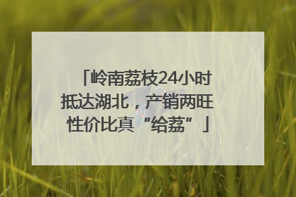 岭南荔枝24小时抵达湖北，产销两旺性价比真“给荔”